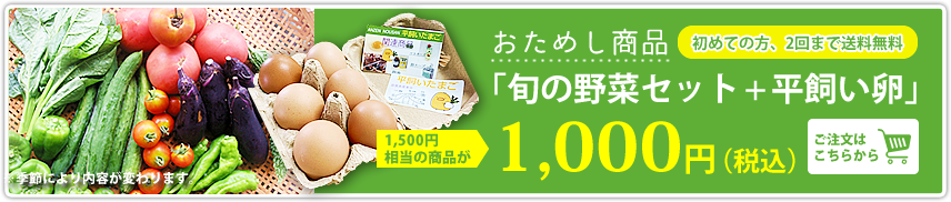 おためし商品　旬の野菜セット＋平飼い卵　1000円（税込）